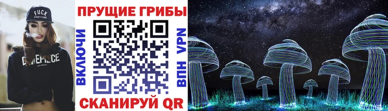 Псилоцибиновые грибы Psilocybine cubensis  Ртищево 