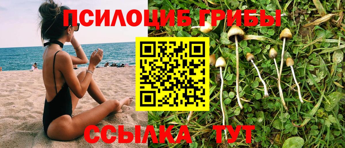 Галлюциногенные грибы MAGIC MUSHROOMS  Вход с VPN  Псилоцибиновые грибы Psilocybe  Ртищево 