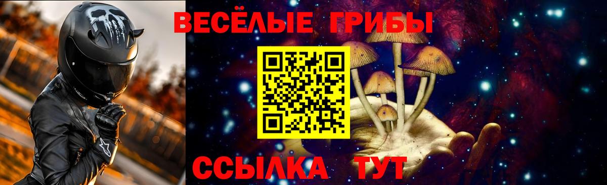 Галлюциногенные грибы Magic Shrooms Ртищево